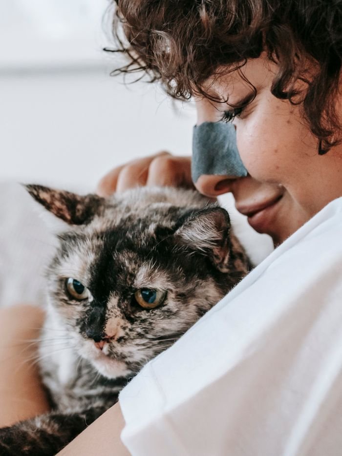 Side view of cheerful female owner petting dappled cat on hands during skincare routine in light room on blurred background