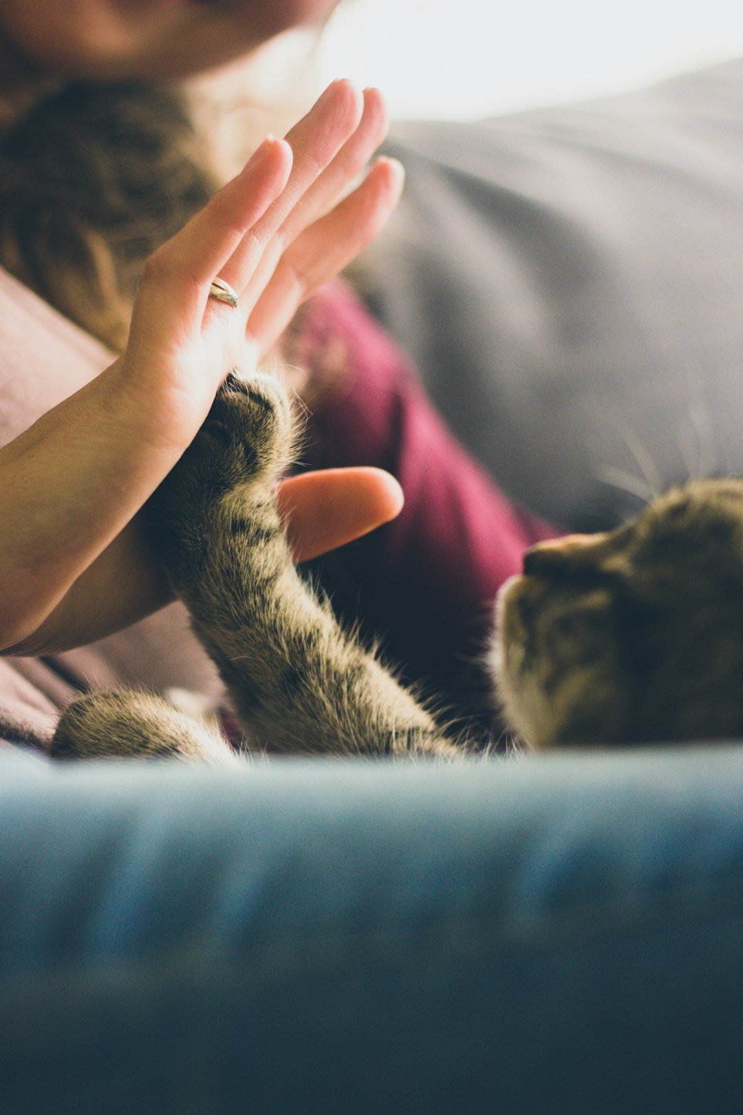 A simple moment as each week-end when i’m home with my wife and my little cat.